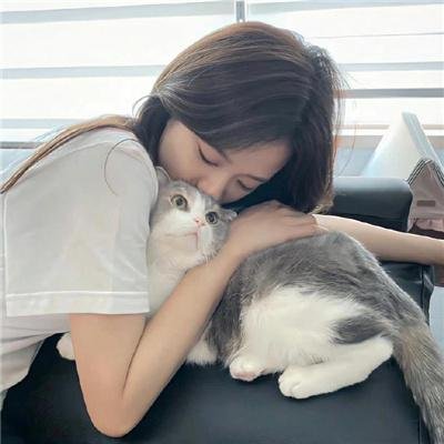 8级警戒